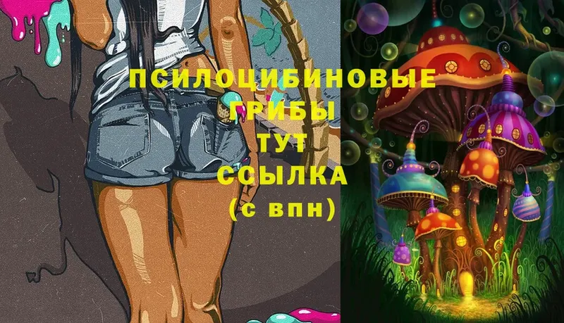 Галлюциногенные грибы GOLDEN TEACHER  Нижняя Тура 